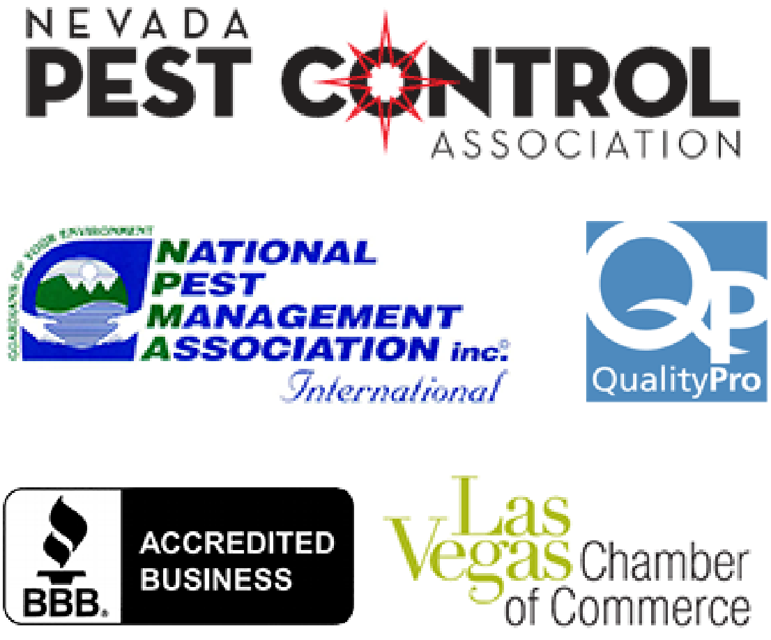 Pest Control Inc - Las Vegas NV Exterminators serving Henderson NV and North Las Vegas