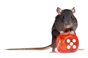 Pest Control Inc – Exterminators in Las Vegas Don't Gamble with Your Pest Control - Exterminators in Las Vegas NV and Henderson NV
