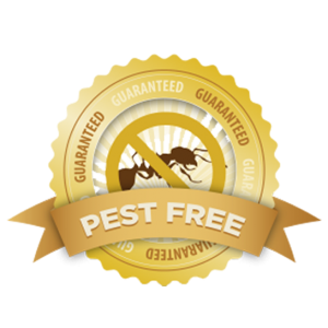 Ant Exterminator Pest Control Money Back Guarantee - Las Vegas and Spring Valley Nevada