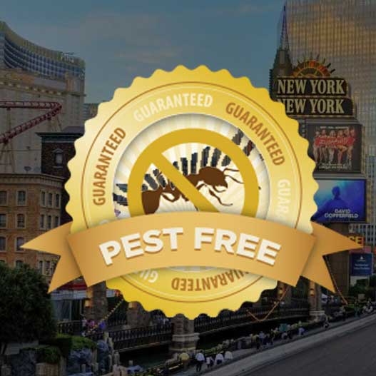 Pest Control in Las Vegas NV from Pest Control Inc
