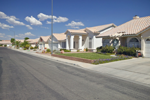Las Vegas NV neighborhood - Pest Control Inc, serving Las Vegas NV and Henderson NV explains what pests cause the most damage to homes.